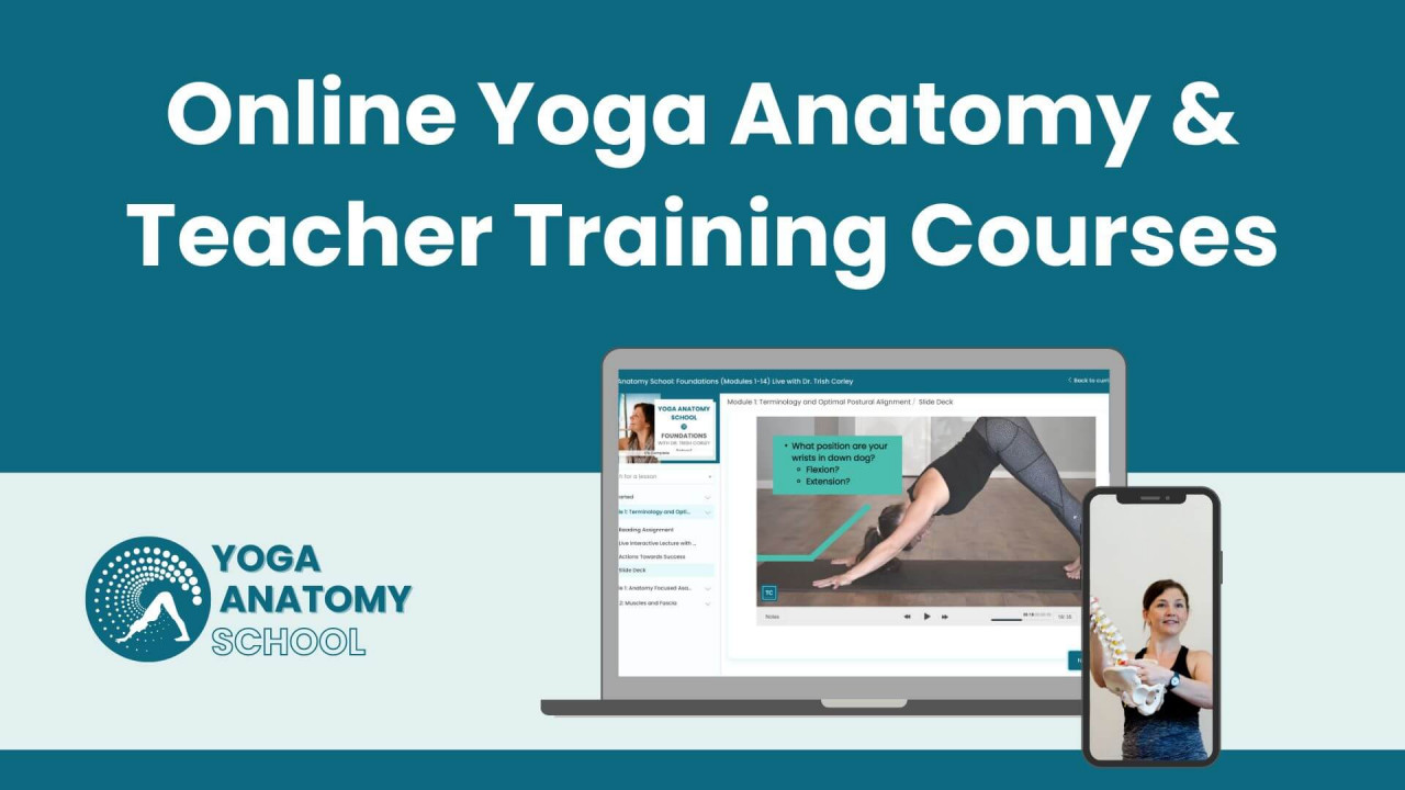 Online Yoga Anatomy & Teacher Training courses Cover